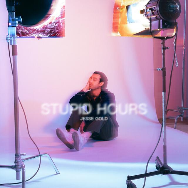 Album cover art for Stupid Hours