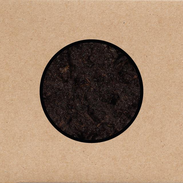Album cover art for Birthing