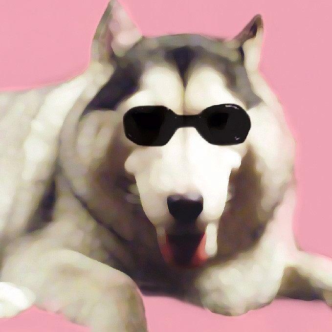 レディ