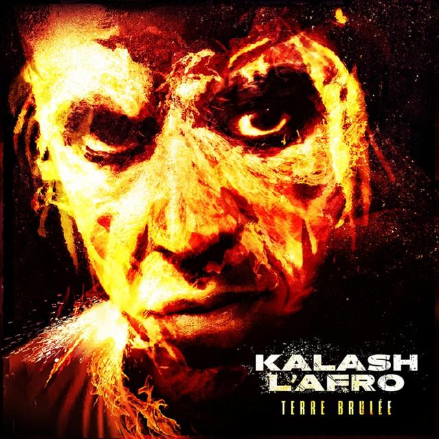 Album cover art for Terre Brûlée