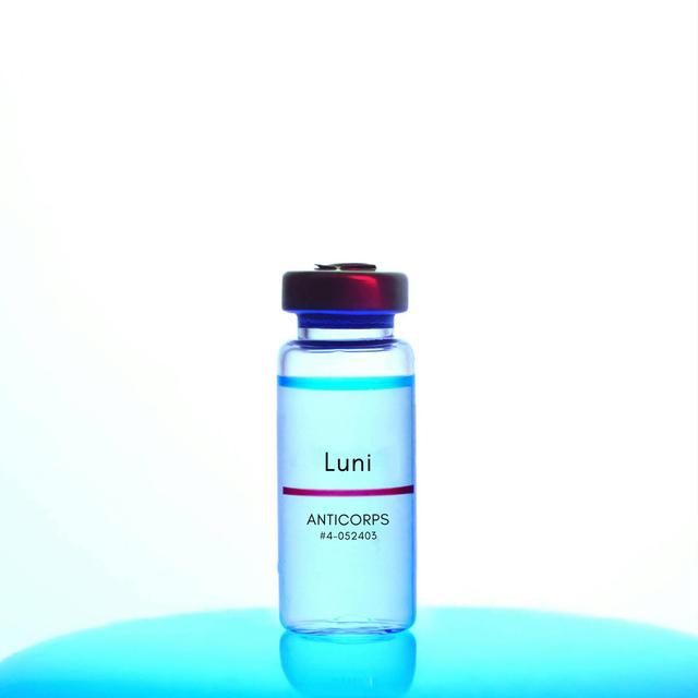 Album cover art for ANTICORPS