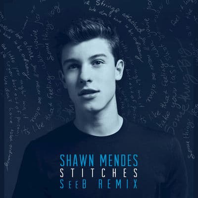 Album cover art for Stitches (SeeB Remix)