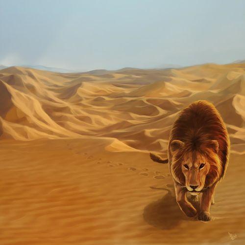 Album cover art for Mon Poto