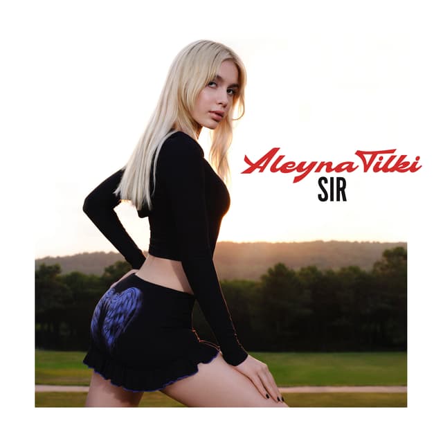 Album cover art for Sır