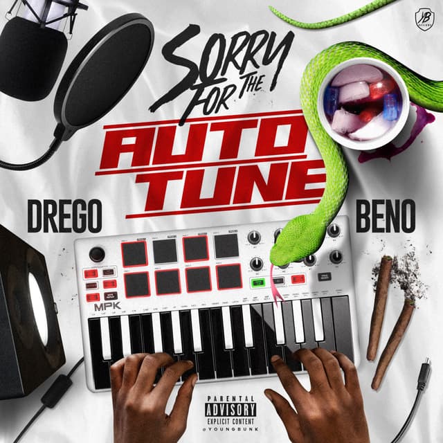 Album cover art for Sorry for the Auto Tune