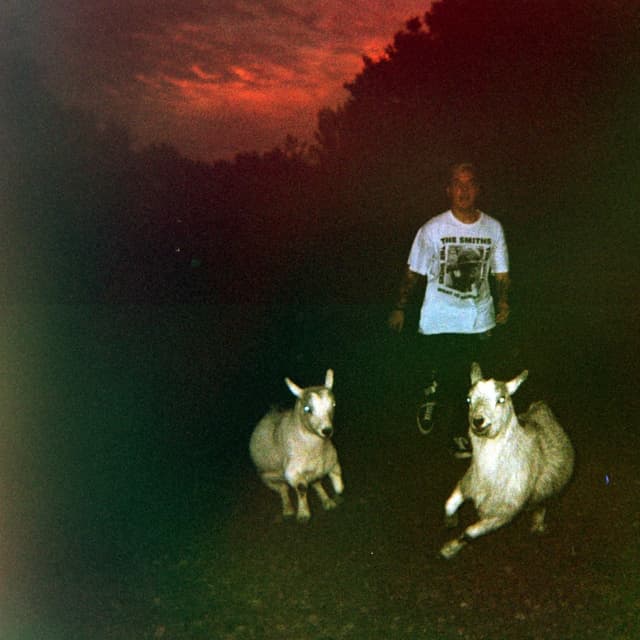 Album cover art for Things Fall Apart