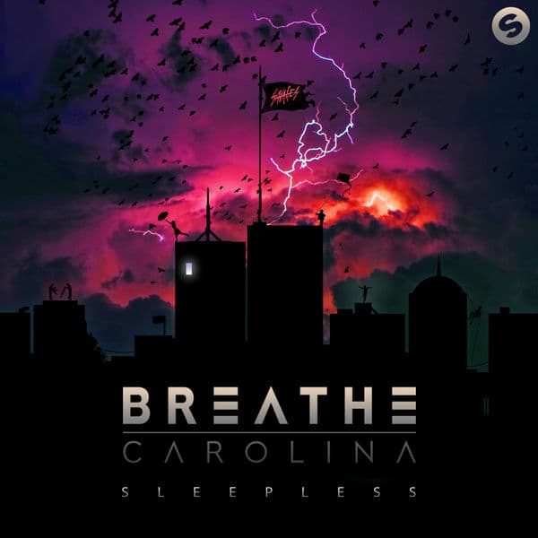 Album cover art for Sleepless