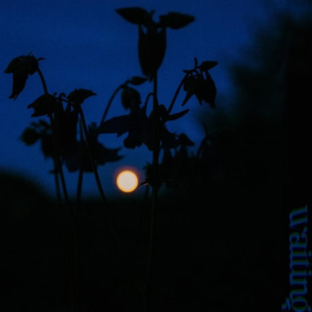 Album cover art for waiting