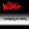 Lagrimas de Amor