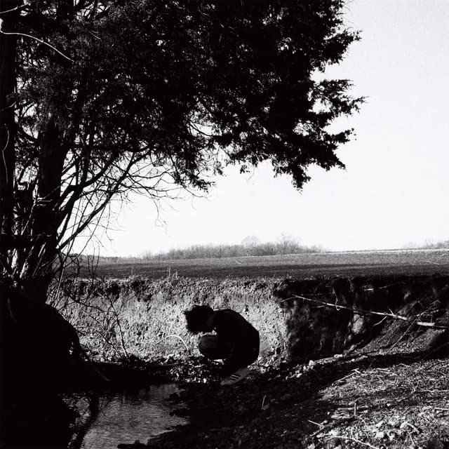 Album cover art for how many
