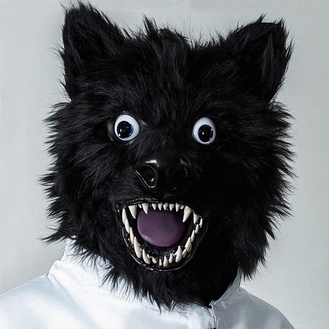 Album cover art for ANIMAL FKRY