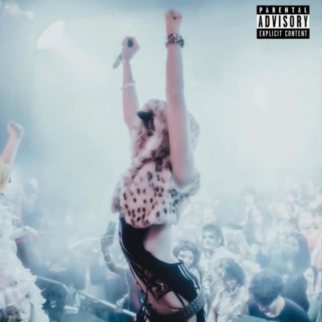 Album cover art for PARTY ALL WEEK BITCH