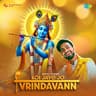 Koi Jaye Jo Vrindavann