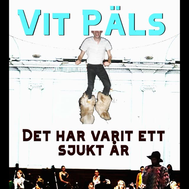 Album cover art for Det har varit ett sjukt år