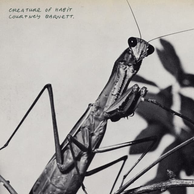 Album cover art for Creature of Habit