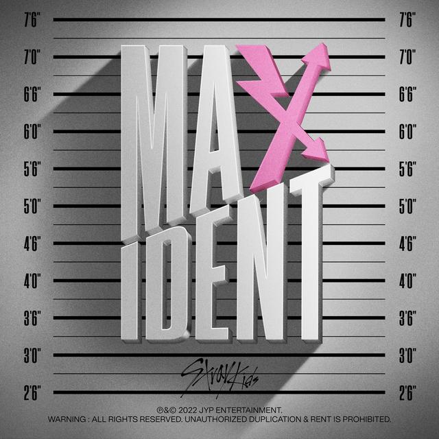 Album cover art for MAXIDENT