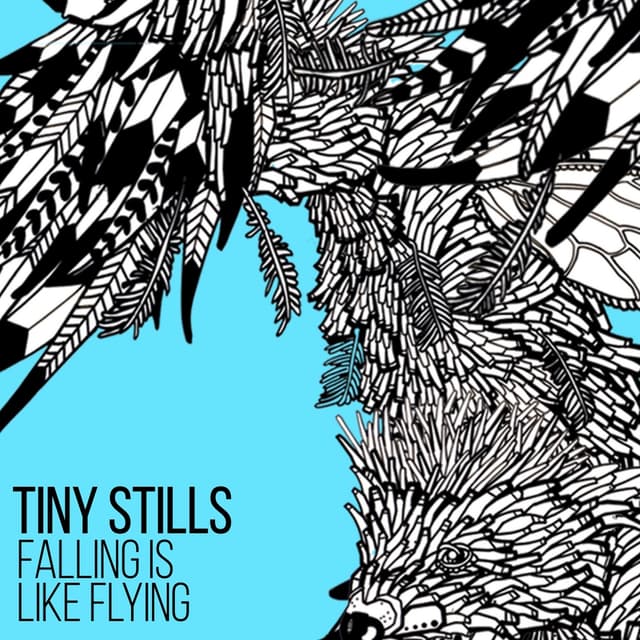 Album cover art for Falling is Like Flying