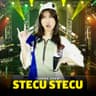 Stecu Stecu