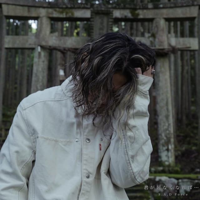 Album cover art for Kimigainakunareba...