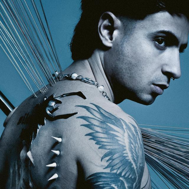 Album cover art for Metallo e carne