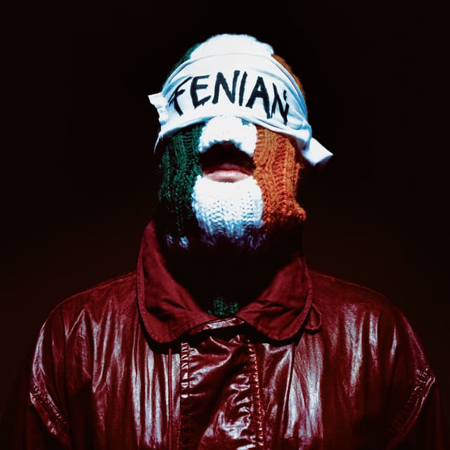 Album cover art for FENIAN