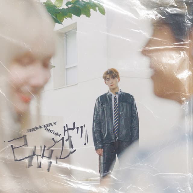 Album cover art for 已出之物