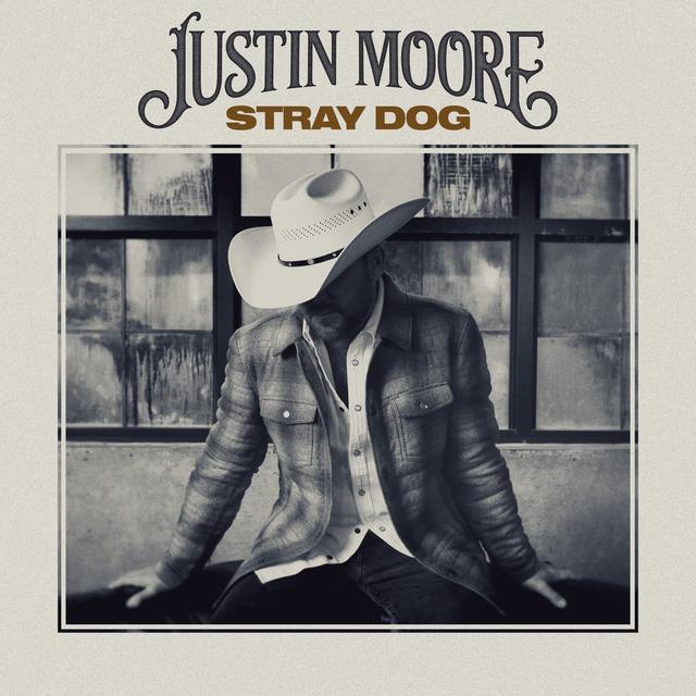 Album cover art for Stray Dog