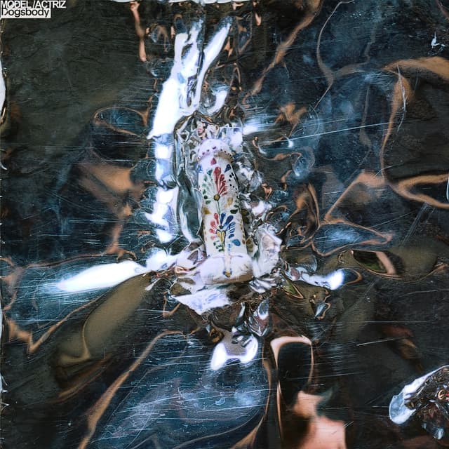 Album cover art for Dogsbody