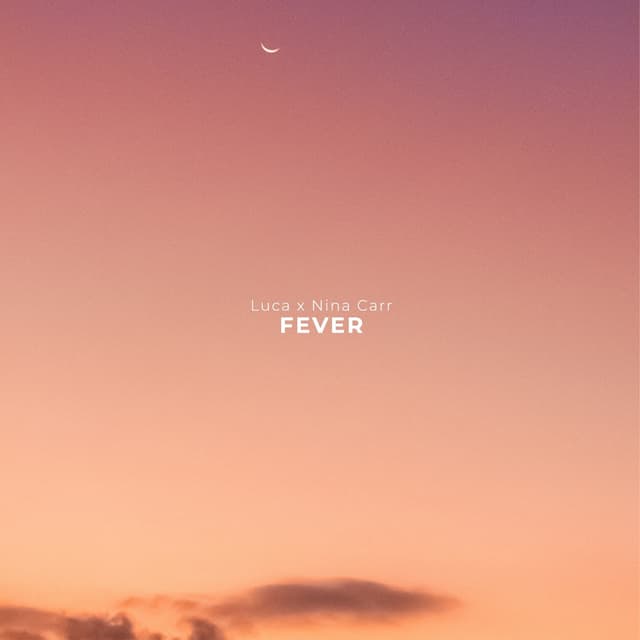 Album cover art for Fever