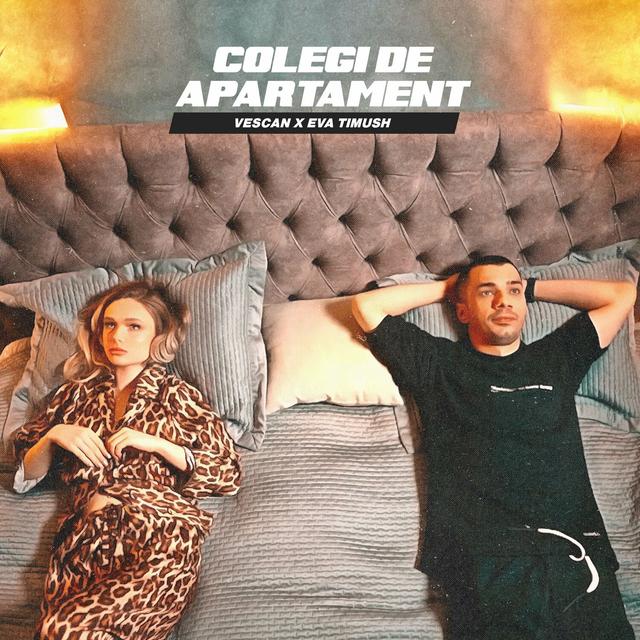 Album cover art for Colegi de apartament