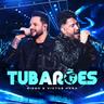 Tubarões (Tubaroes)