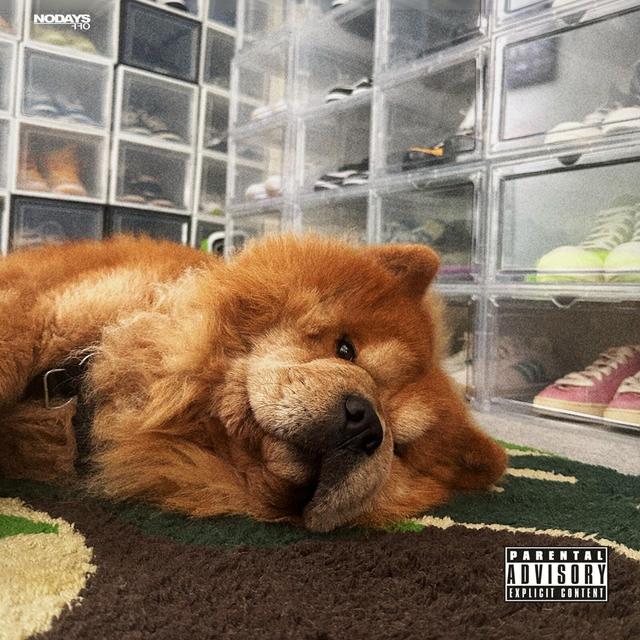Album cover art for Studio Fit Riddim