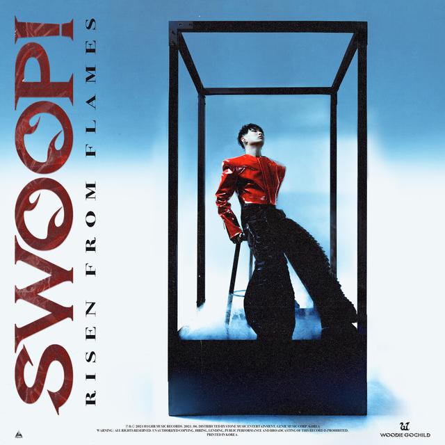 Album cover art for SWOOP!