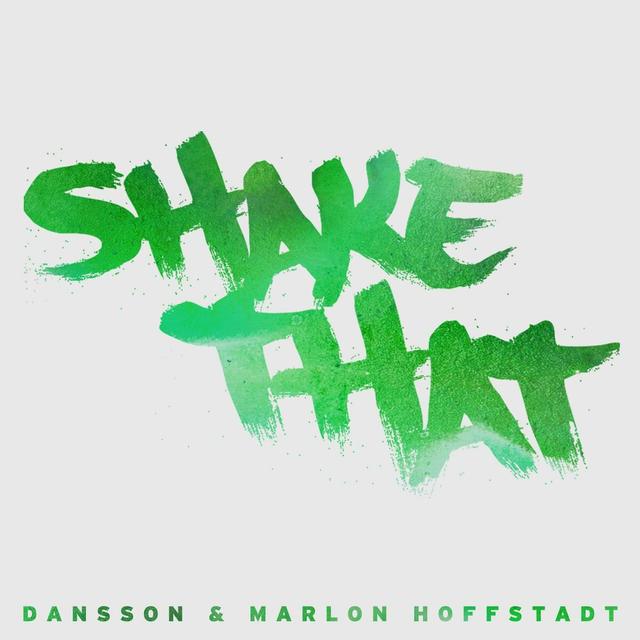 Album cover art for Shake That