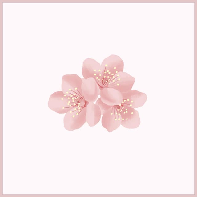 Album cover art for Sweet Boi