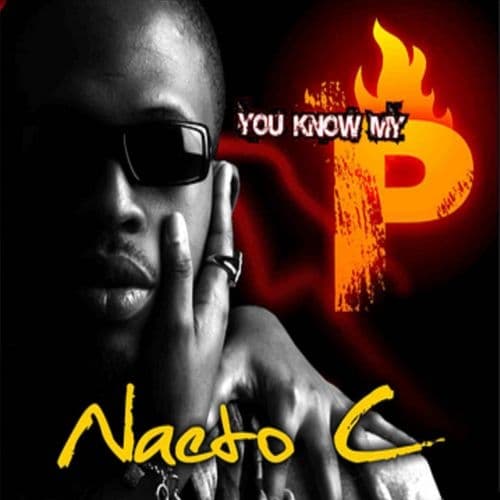 Album cover art for U Know My P