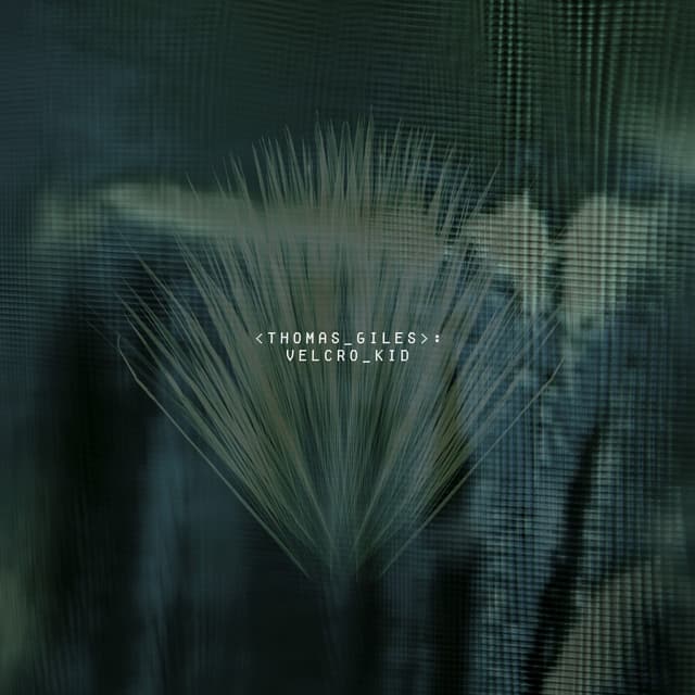 Album cover art for Velcro Kid