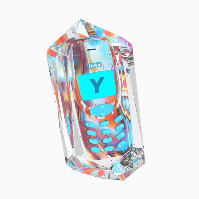 Album cover art for Y