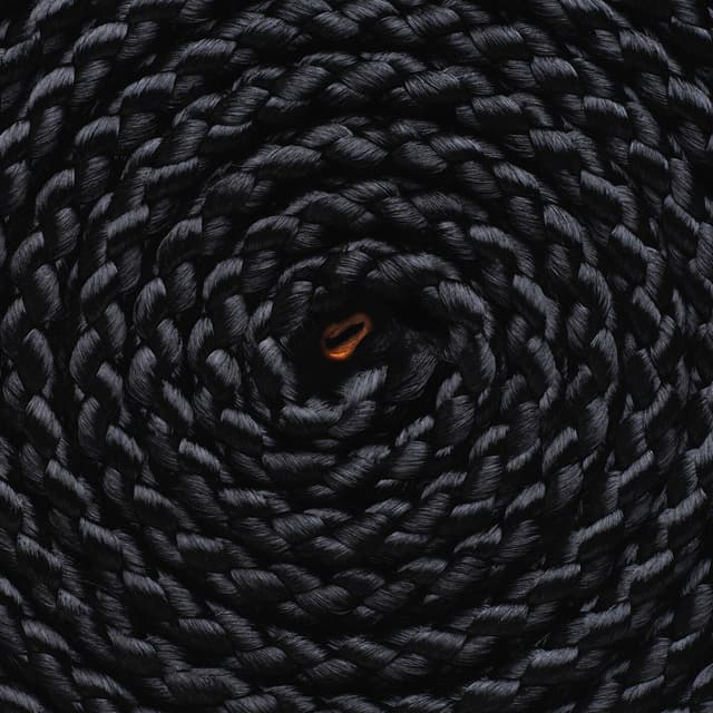Album cover art for Black Sheep