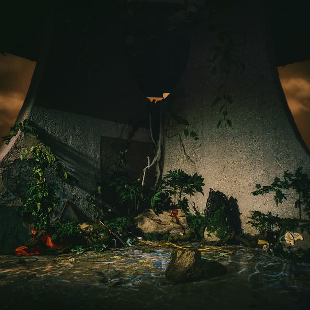 Album cover art for The Plot in You