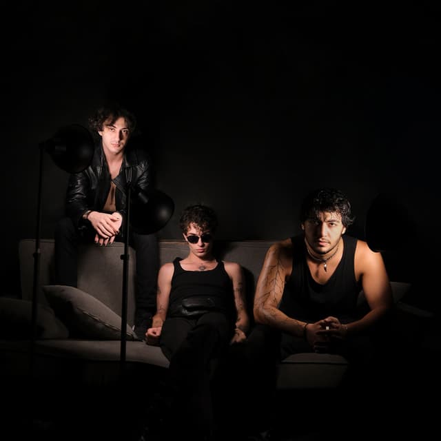 Album cover art for Son Arzum