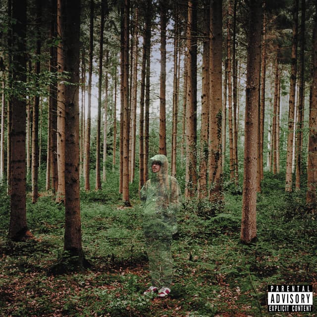 Album cover art for Something To Hide