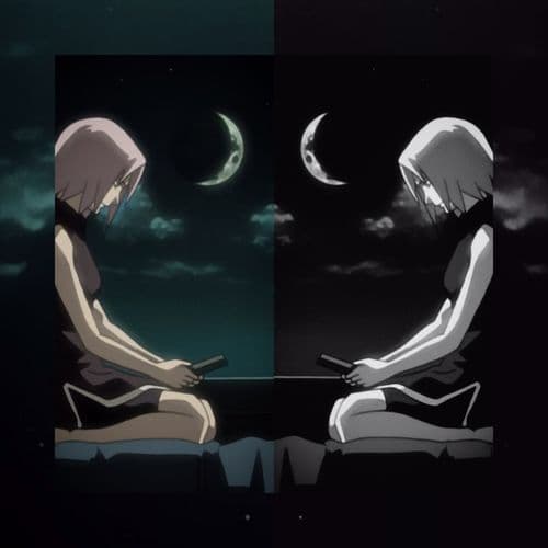 Album cover art for Chagrin & fantôme