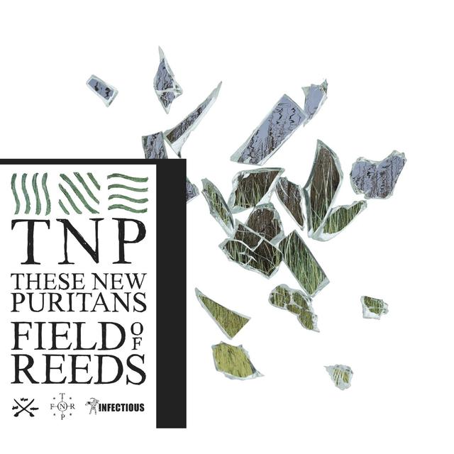 Album cover art for Field of Reeds