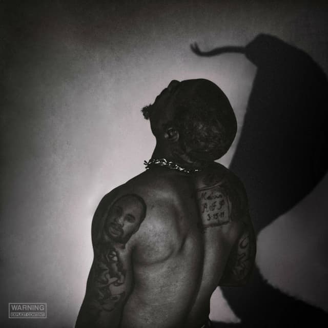 Album cover art for SERPENT