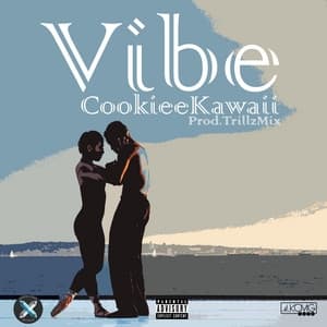 Album cover art for Vibe
