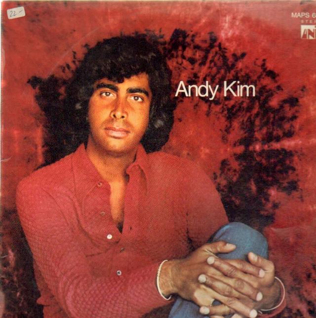 Album cover art for Andy Kim