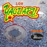Conga y Timbal