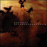 Album cover art for Metamorphogenesis