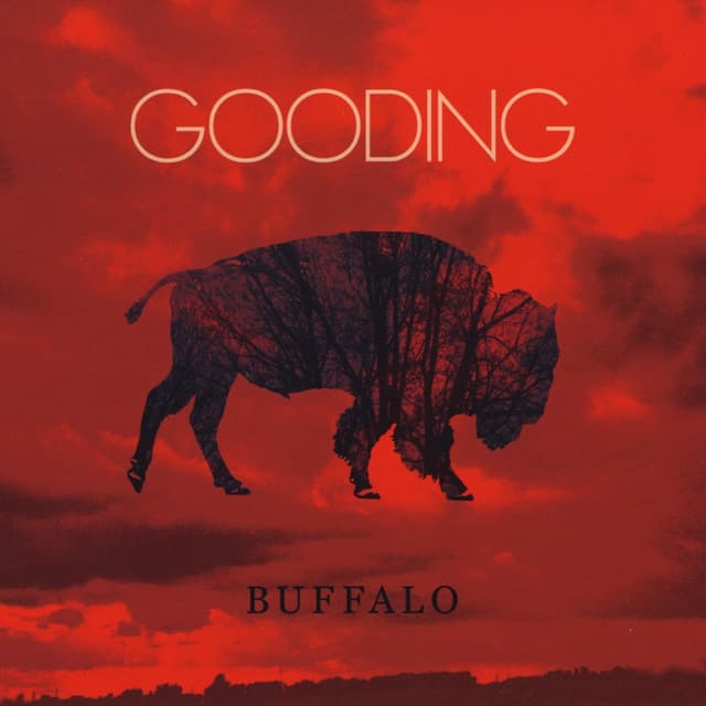 Album cover art for Buffalo
